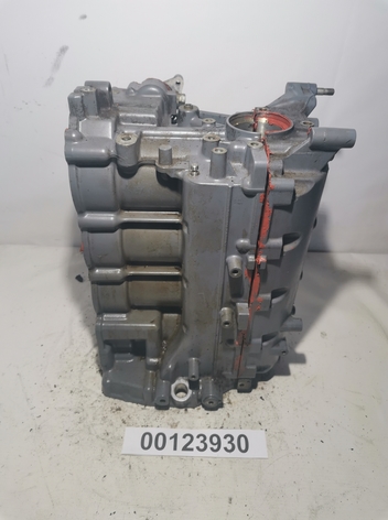 Блок цилиндров Yamaha 40-50
